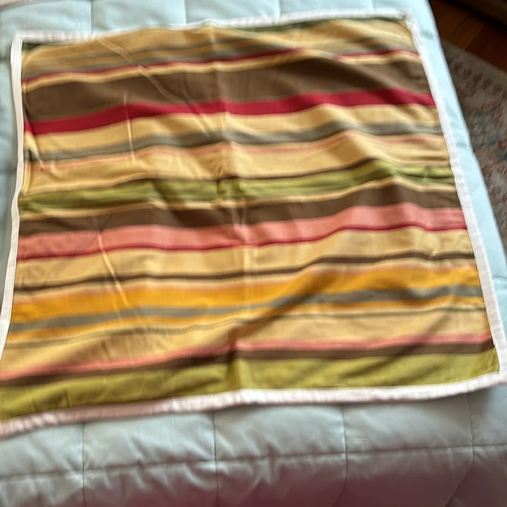 2 Pottery Barn Euro Shams